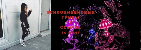 ГАЛЛЮЦИНОГЕННЫЕ ГРИБЫ Михайловка