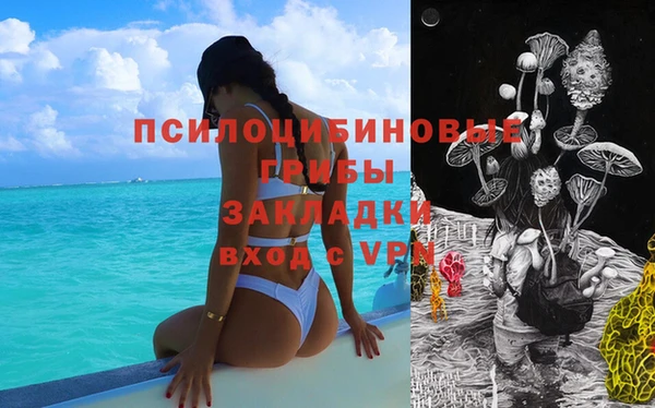 стафф Навашино