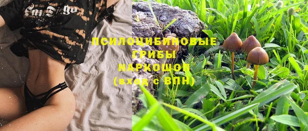 стафф Навашино