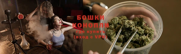 ПСИЛОЦИБИНОВЫЕ ГРИБЫ Наволоки