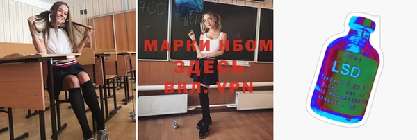 гашик Надым
