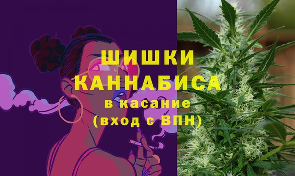 прущие крисы Болотное