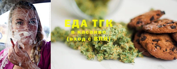 гашик Надым