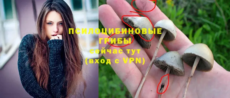 Псилоцибиновые грибы MAGIC MUSHROOMS  Туймазы 